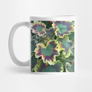 Geranium (Pelargonium) Leaves Mug